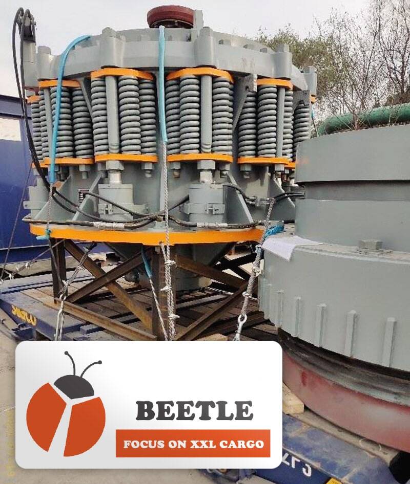 Shanghai Beetle Project Shipment